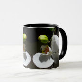 foto van witte orchidee , tropische witte florale  mok (Voorkant rechts)