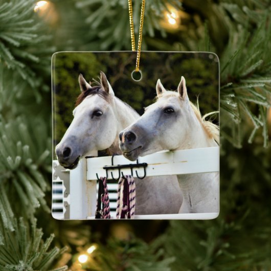 Foto van witte paarden keramisch ornament (Boom)