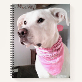 Foto van witte puppy-hond met roze sjaal notitieboek