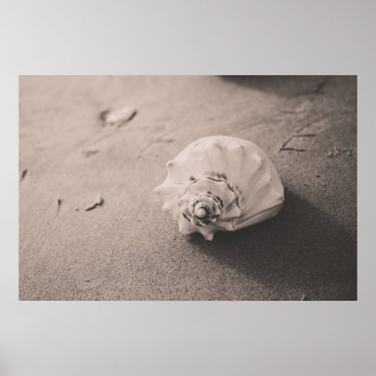 Foto van witte riem op zand poster (Voorkant)