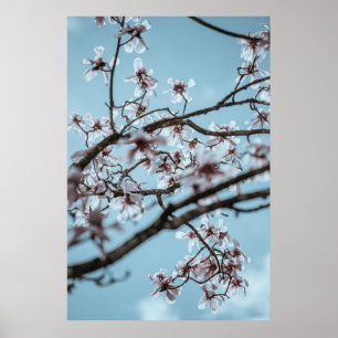 FOTO VAN WITTE VLOEREN POSTER