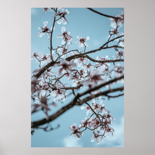 FOTO VAN WITTE VLOEREN POSTER (Voorkant)