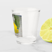 Foto van Yellow and Blue Queen Angelfish Shot Glas (Rechts)