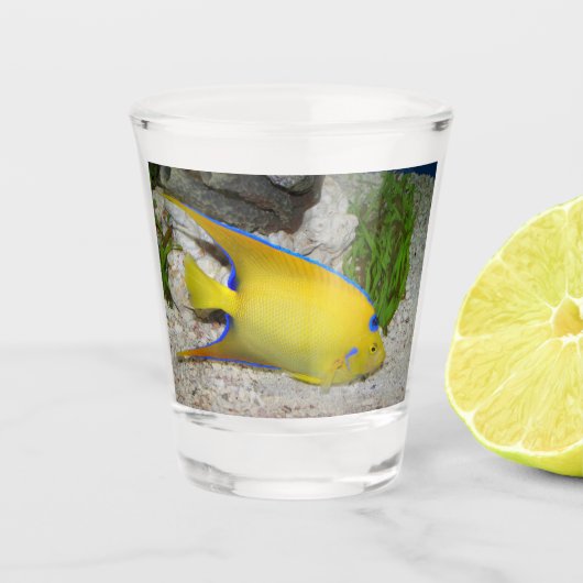 Foto van Yellow and Blue Queen Angelfish Shot Glas (Voorkant)