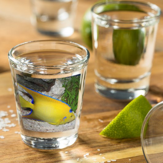 Foto van Yellow and Blue Queen Angelfish Shot Glas