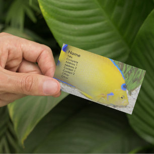 Foto van Yellow and Blue Queen Angelfish Visitekaartje