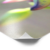 foto van yucca bloemen foto afdruk (Hoek)