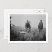 Foto van zebra vermoord door inheemse in Afrika Fo Briefkaart (Voorkant / Achterkant)