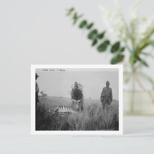 Foto van zebra vermoord door inheemse in Afrika Fo Briefkaart (Staand voorkant)
