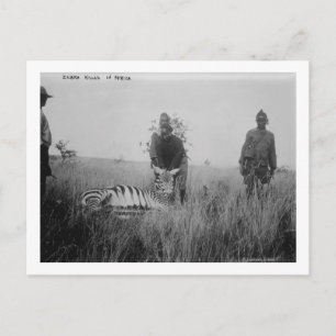 Foto van zebra vermoord door inheemse in Afrika Fo Briefkaart