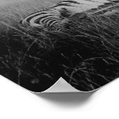 Foto van zebra vermoord door inheemse in Afrika Fo Poster (Hoek)