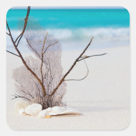 Foto van Zeeschelpen op een strand Vierkante Sticker