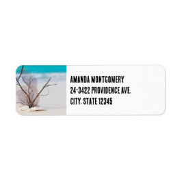 Foto van Zeeschelpen op een zandstrand Etiket