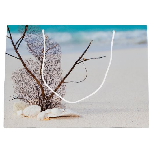 Foto van Zeeschelpen op een zandstrand Groot Cadeauzakje (Voorkant)