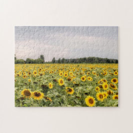 Foto van zonnebloemen legpuzzel