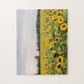 Foto van zonnebloemen legpuzzel (Verticaal)