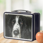 Foto van zwart-witte Engelse Springer Spaniel