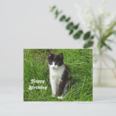 Foto van zwart-witte kat bij verjaardag briefkaart (Staand voorkant)