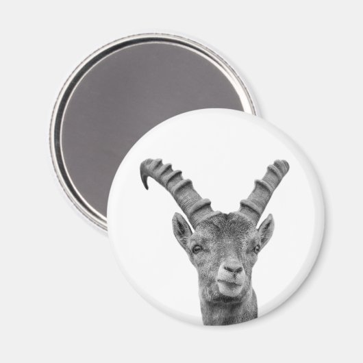 Foto van zwarte en witte capricorn magneet (Voorkant / Achterkant)