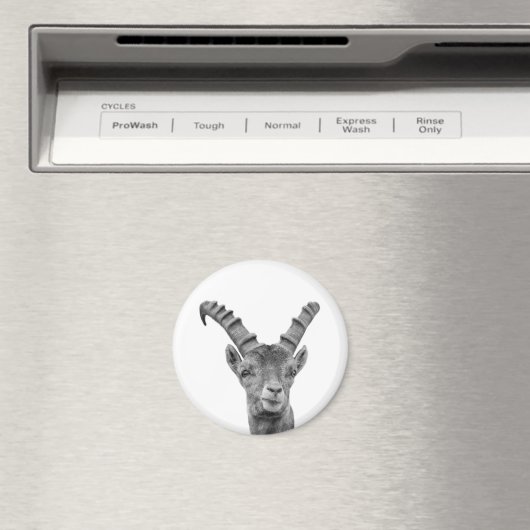 Foto van zwarte en witte capricorn magneet (Insitu (Vaatwasser))