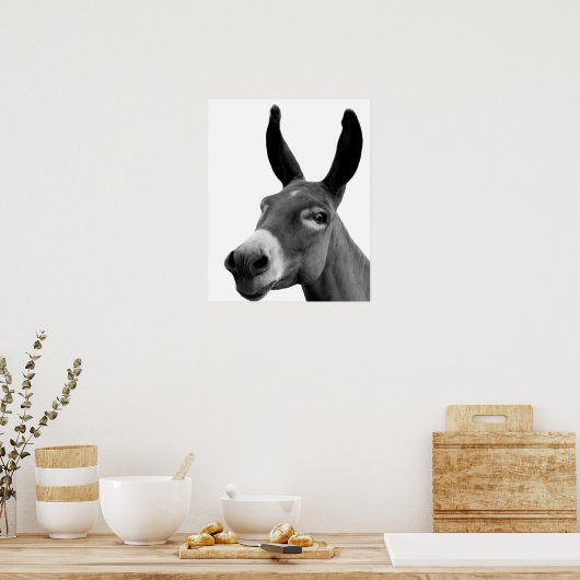 Foto van zwarte en witte ezels poster (Keuken)