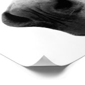 Foto van zwarte en witte ezels poster (Hoek)