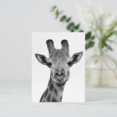 Foto van zwarte en witte Giraffe Briefkaart (Staand voorkant)