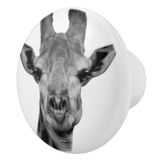 Foto van zwarte en witte Giraffe Keramische Knop (Rechts)