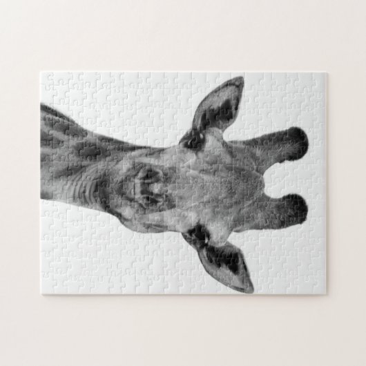 Foto van zwarte en witte Giraffe Legpuzzel (Horizontaal)