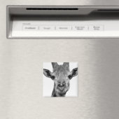 Foto van zwarte en witte Giraffe Magneet (Insitu (Vaatwasser))