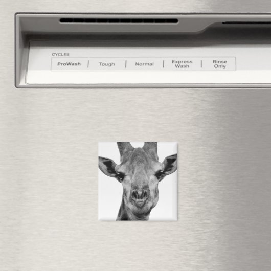 Foto van zwarte en witte Giraffe Magneet (Insitu (Vaatwasser))