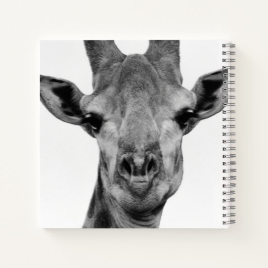 Foto van zwarte en witte Giraffe Notitieboek (Achterkant)