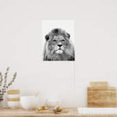 Foto van zwarte en witte leeuw wild oerwoud poster (Keuken)