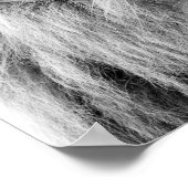 Foto van zwarte en witte leeuw wild oerwoud poster (Hoek)