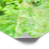 Foto van zwarte geit met graasgras van hoorns poster (Hoek)