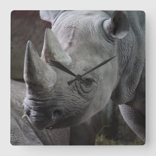 Foto van zwarte neushoorn vierkante klok