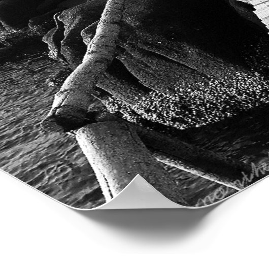 Foto "Verbluffende Wooden Path in Black and White" Poster (Hoek)