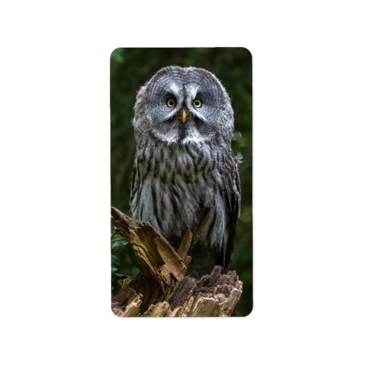 Foto vergroting etiket (Voorkant)