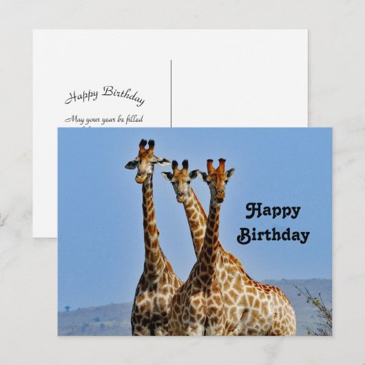 Foto verjaardag van een kudde giraffen in het wild briefkaart (Voorkant / Achterkant)