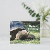 Foto verjaardag wilde landschildpad briefkaart (Staand voorkant)