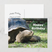 Foto verjaardag wilde landschildpad briefkaart (Voorkant / Achterkant)