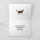 Foto Verjaardagskaart met speelse katten Kaart (Binnen)