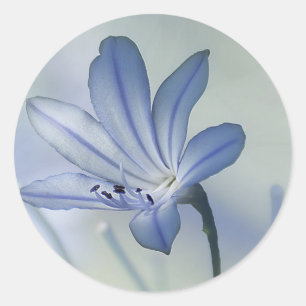 Foto vers Blue Flower Ronde Sticker