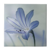 Foto vers Blue Flower Tegeltje (Voorkant)
