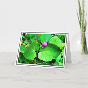 Foto Vibrant Pink Clematis en Green Foliage Card Kaart