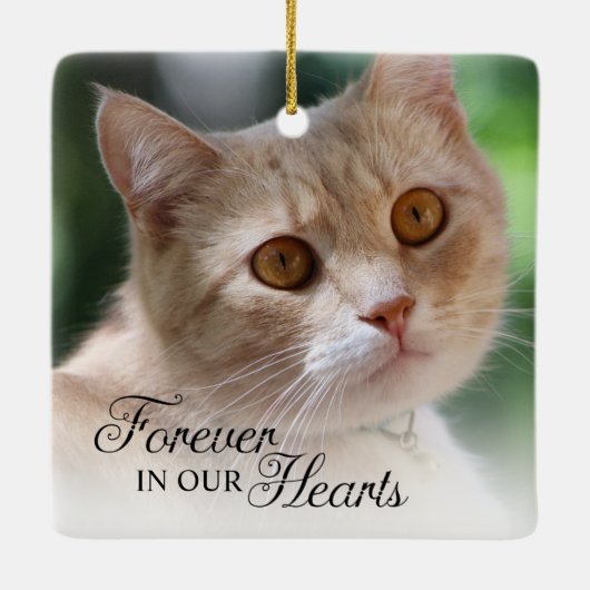 Foto voor altijd in ons hart keramisch ornament (Achterkant)