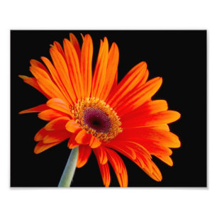 Foto voor sluiten foto afdruk