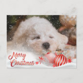 Foto Vrolijk Kerstmis Sneeuw Overlay Budget Feestdagenkaart (Voorkant)