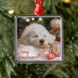Foto Vrolijke Kerstmis Sneeuw Overlay Metalen Ornament<br><div class="desc">Pas dit ornament van de vakantieboom aan met uw eigen favoriete foto. We hebben een sneeuw overlay & Merry Christmas accent laag toegevoegd. Perfect voor al uw familie & vrienden.</div>