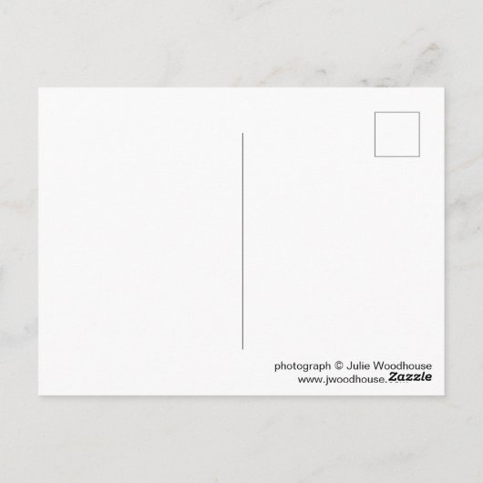 Foto Wernigde Briefkaart (Achterkant)